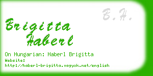 brigitta haberl business card